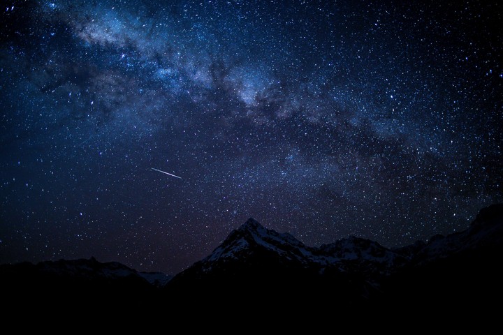Himalayan seen
