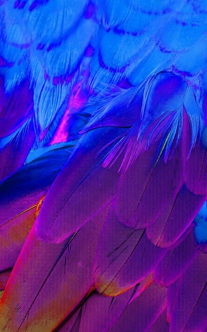■
