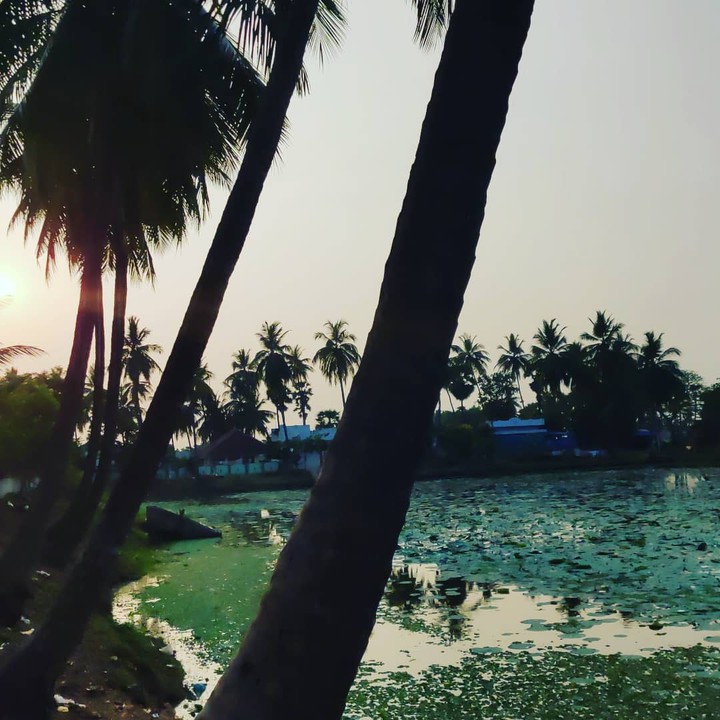 village scene