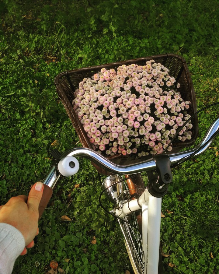 bike basket flowers