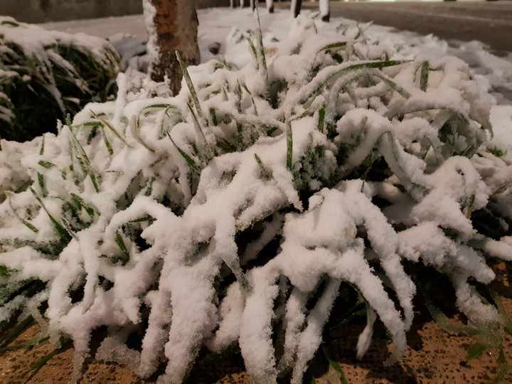 ice
