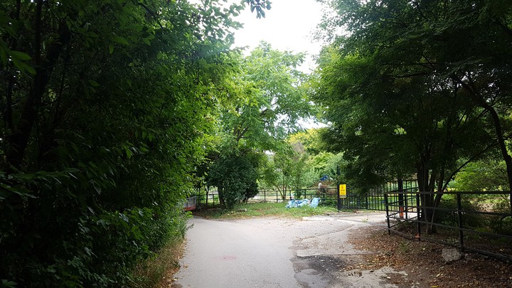 greenary