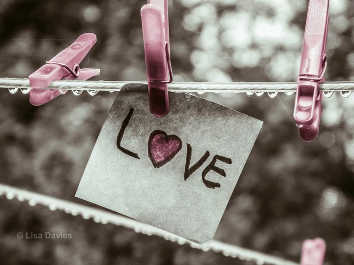 love