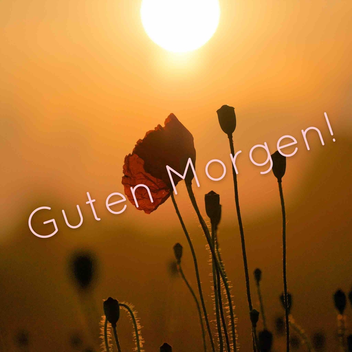 Guten Morgen!
