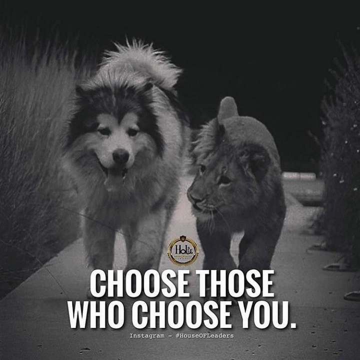 fact