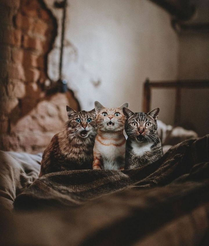 So cute????