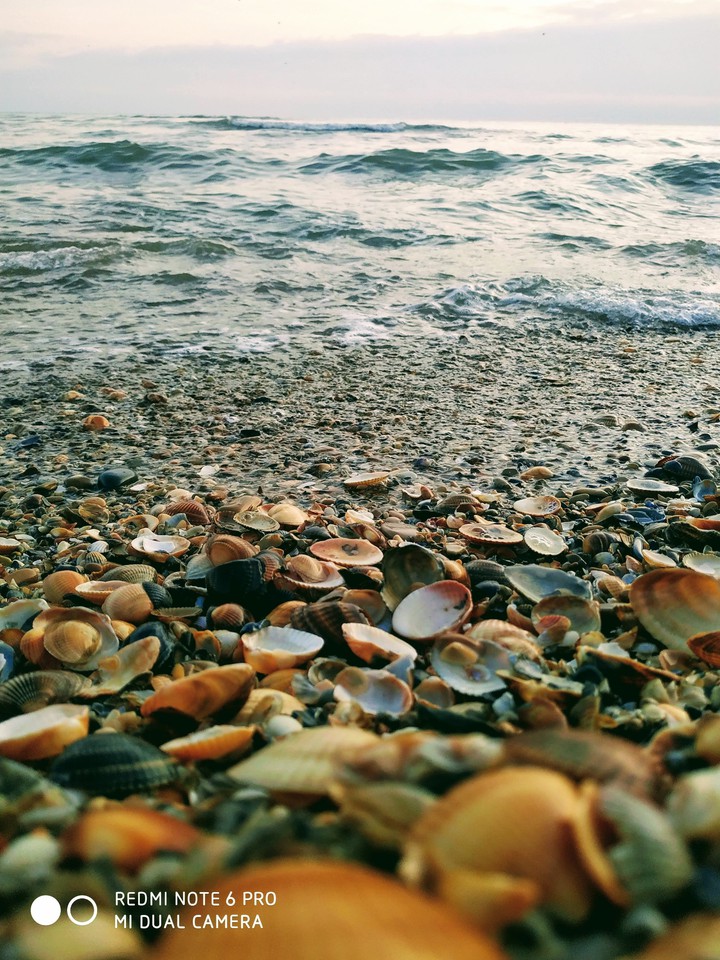 Caspian Sea