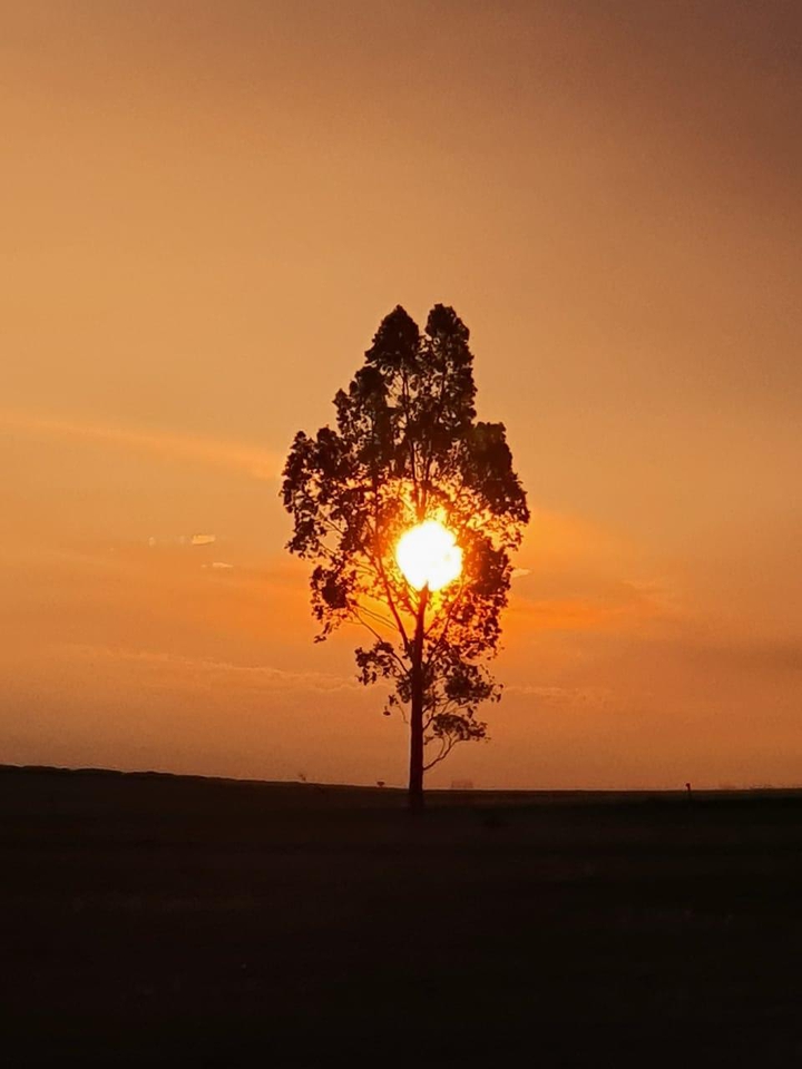 sunset2