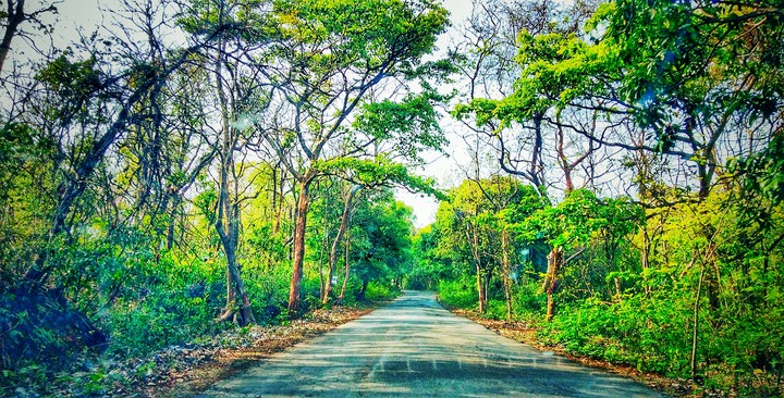 go green