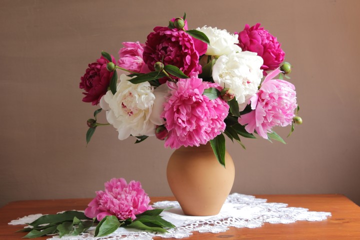 Flovers
