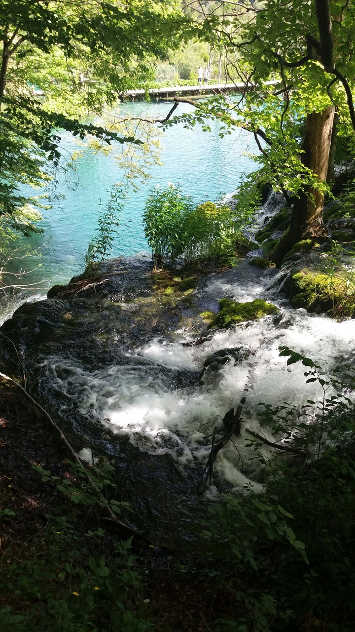 stream
