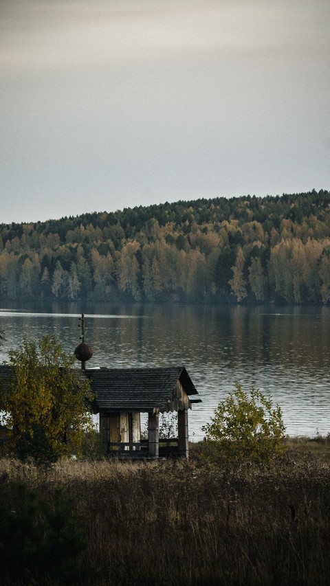 tapety wetland, river