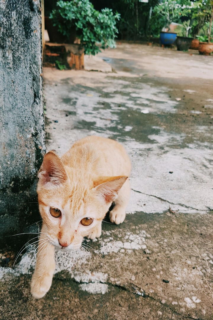 Bắt tay !!