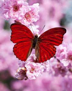 Beautiful