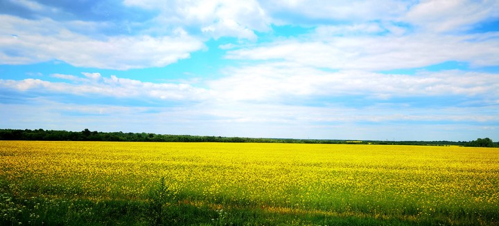 Love Ukraine