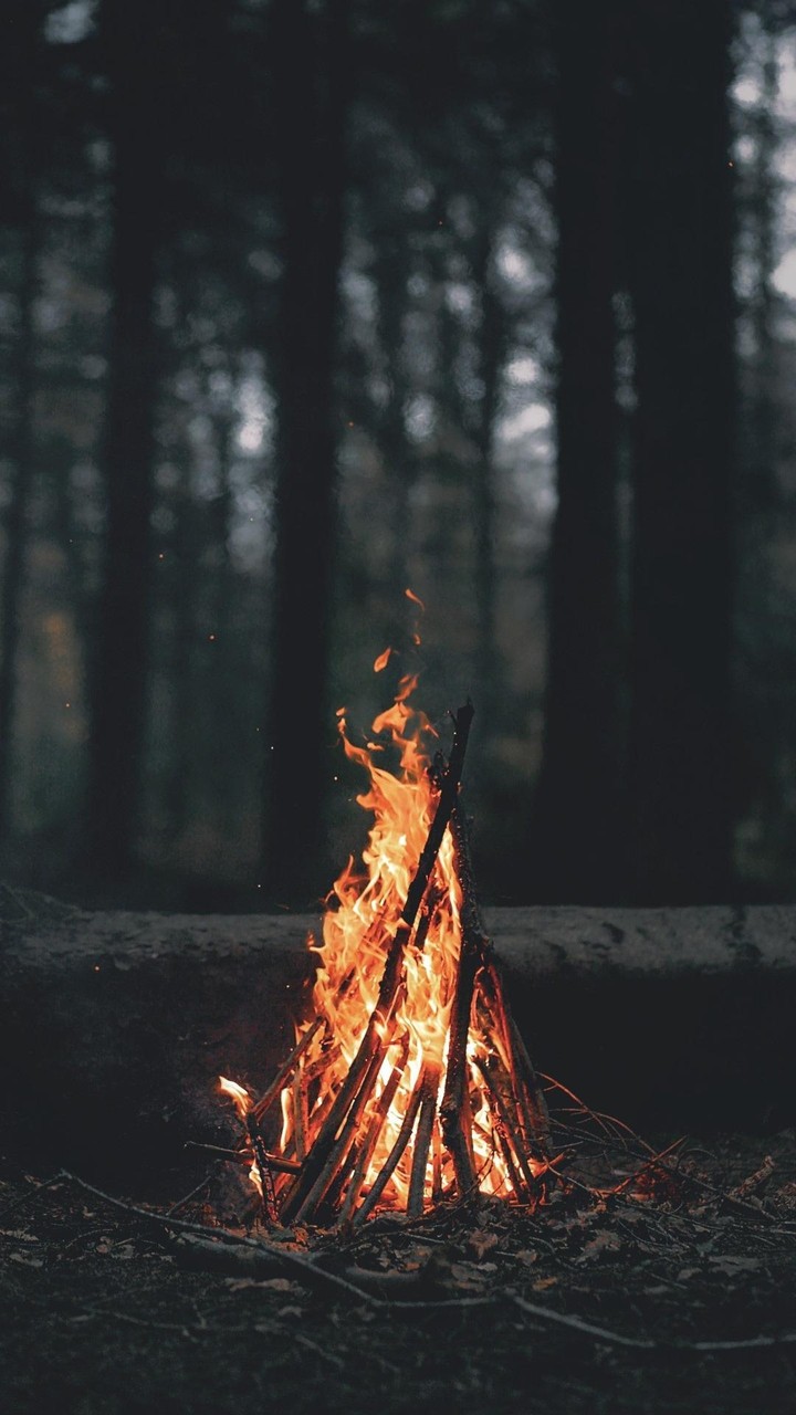 Bonfire 