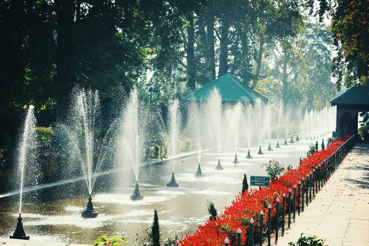 shalimar kashmir