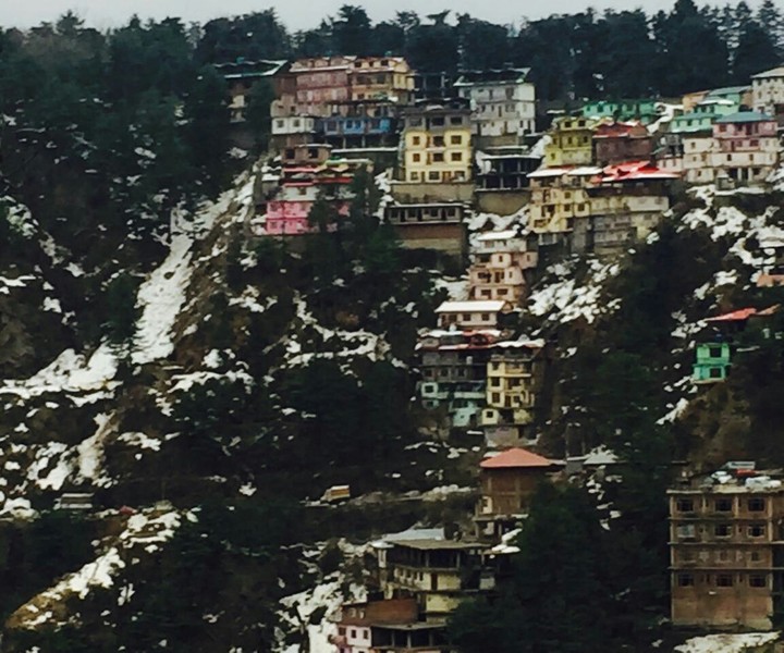 Hillside