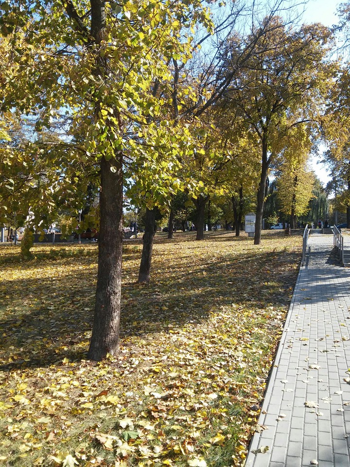 Осень