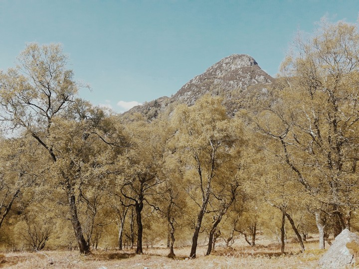 Ben a'an