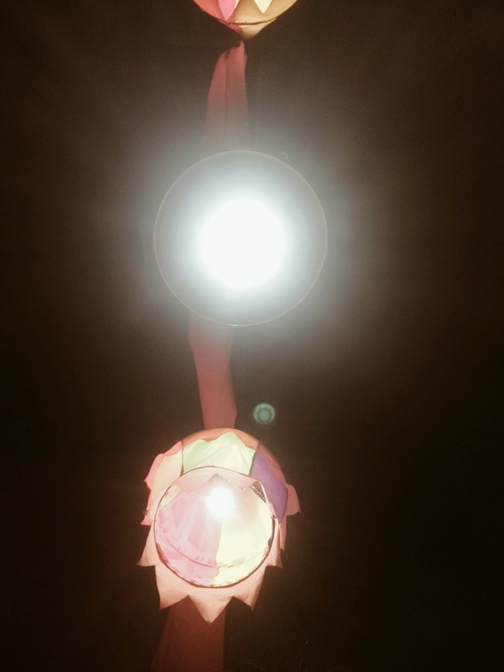 Aesthetic