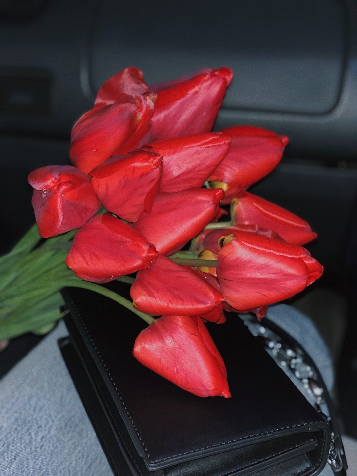 Tulips
