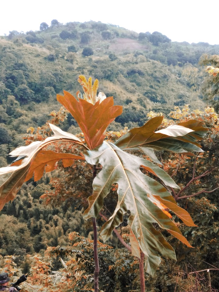 Somewhere above the mountain