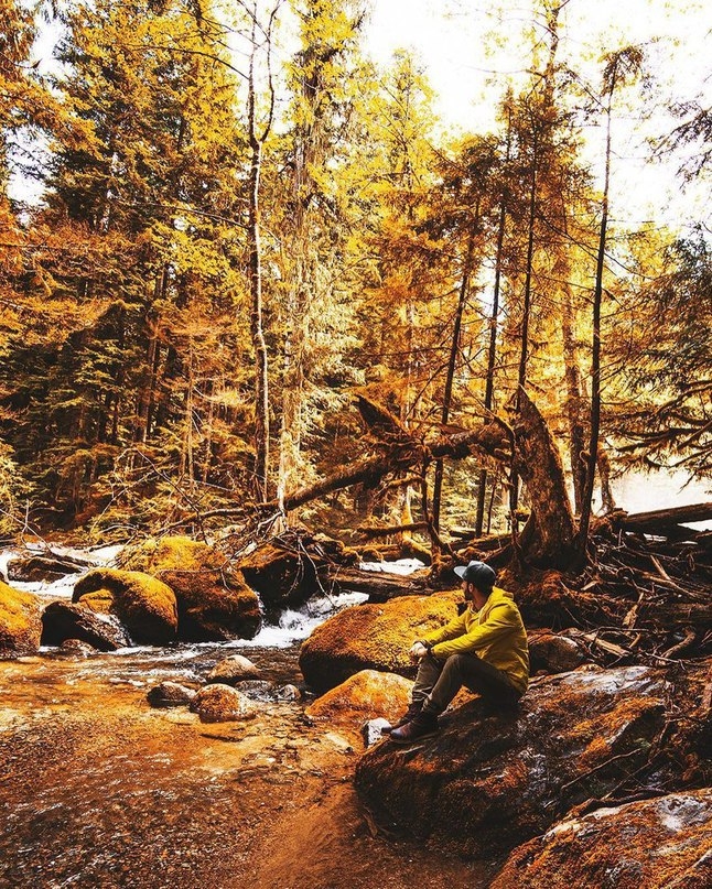 Осень