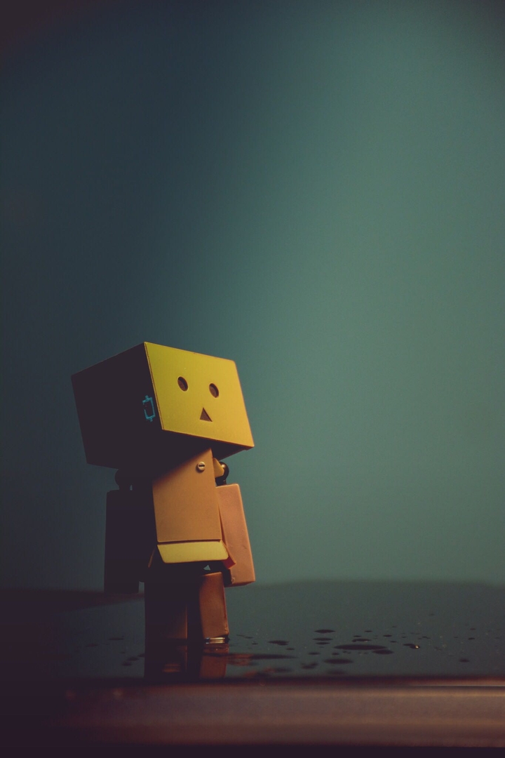 danbo