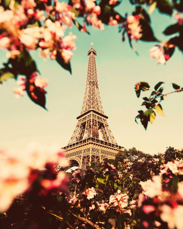 Paris_Eiffel-Tower