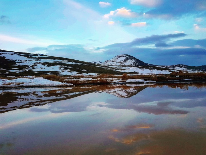 Reflections