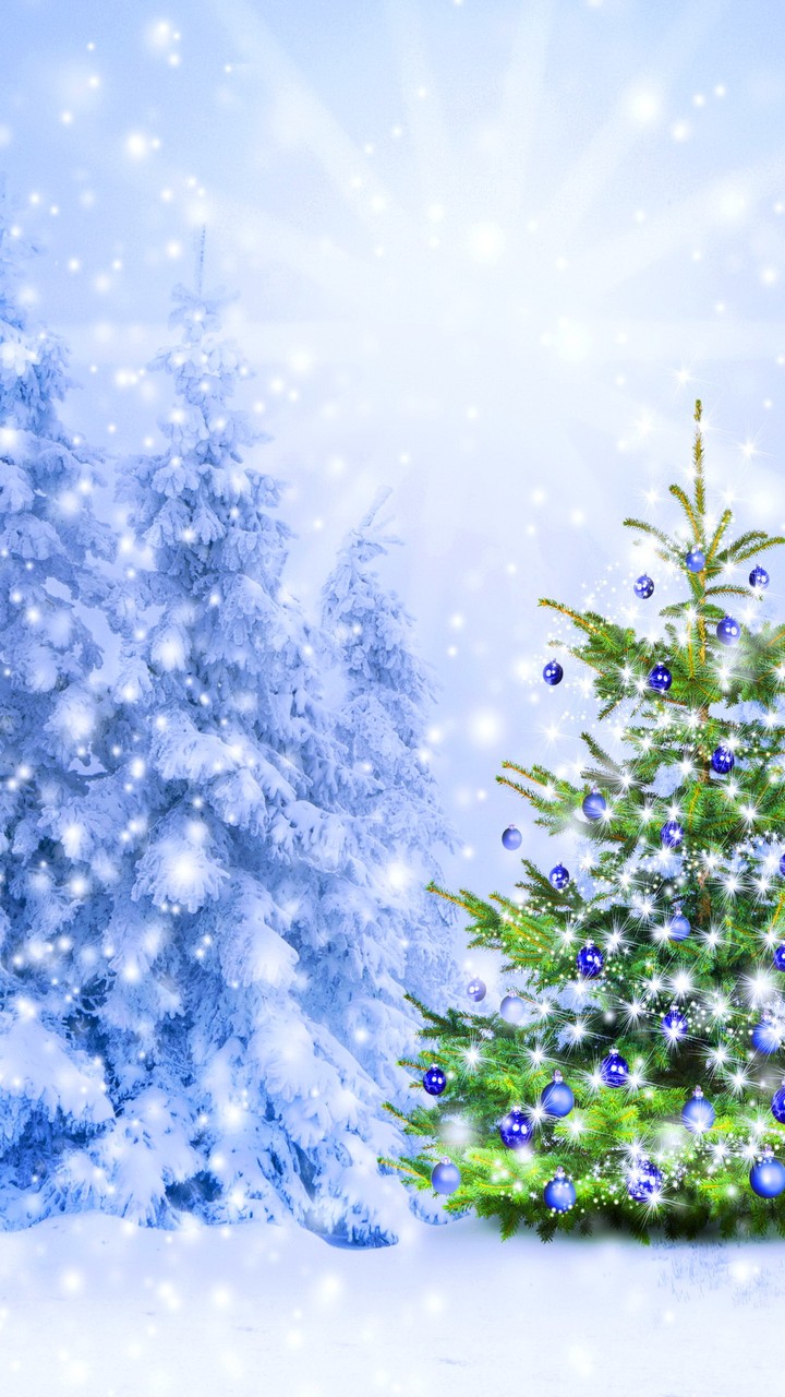 christmas tree