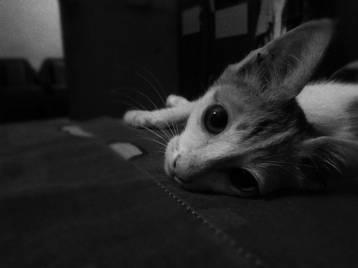 Looking At You