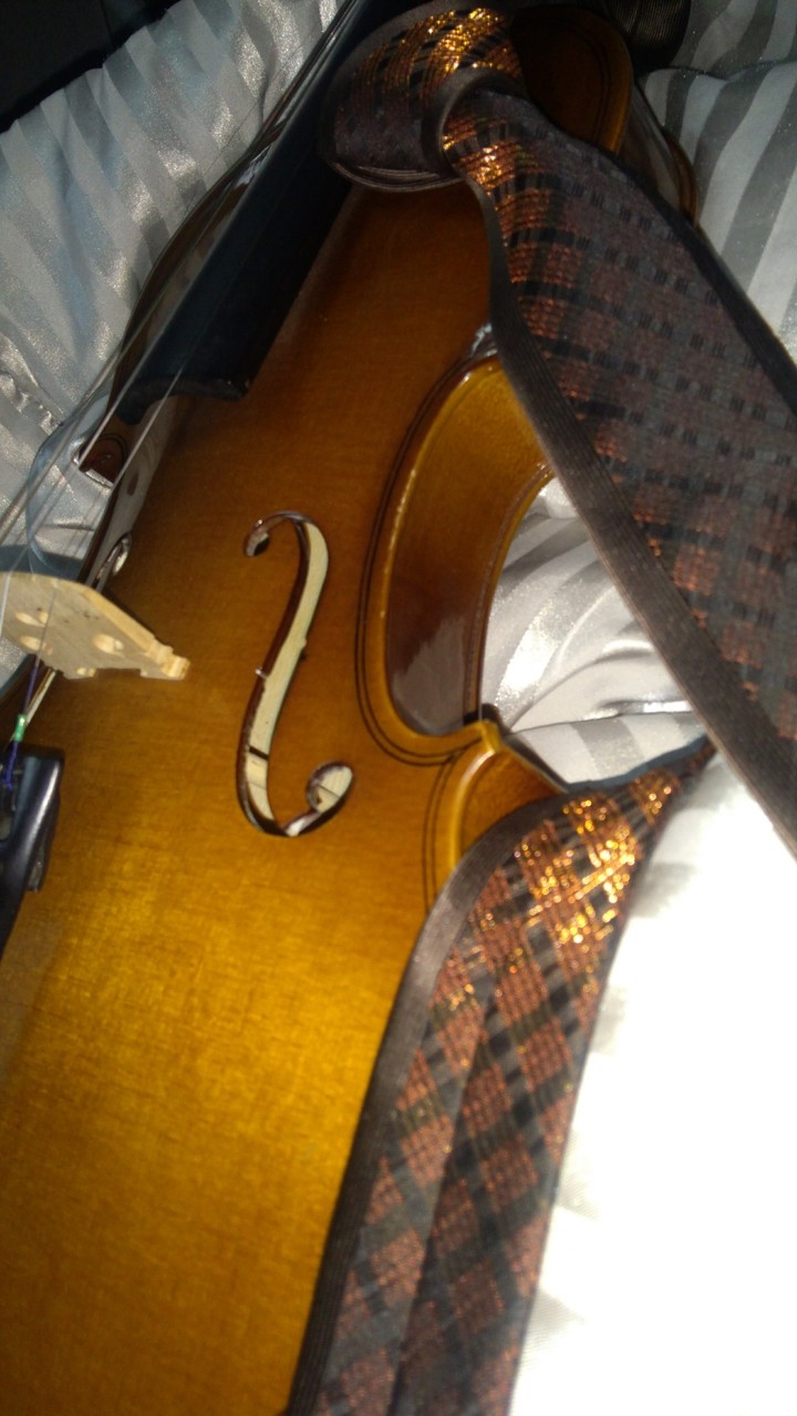 violino