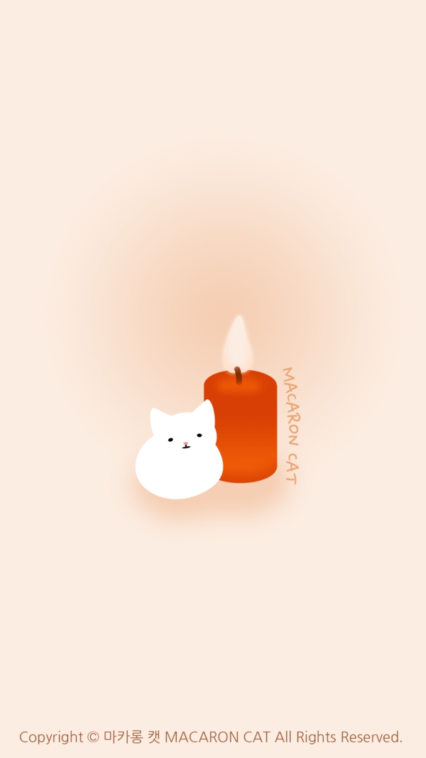 따뜻한 고양이