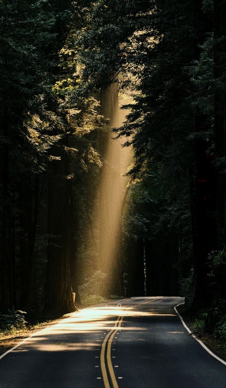 NATURE LOVERS......