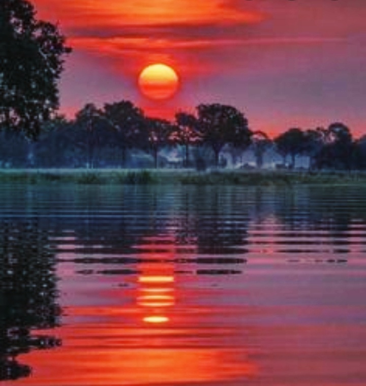 the nature behind