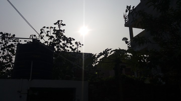 Morning time...!
