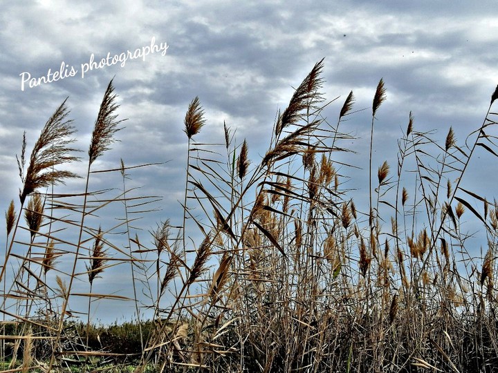 pantelis photography