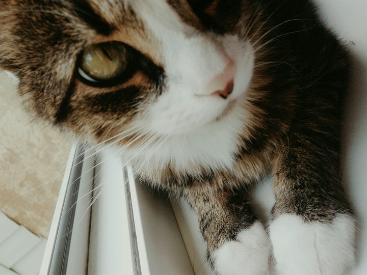 :)