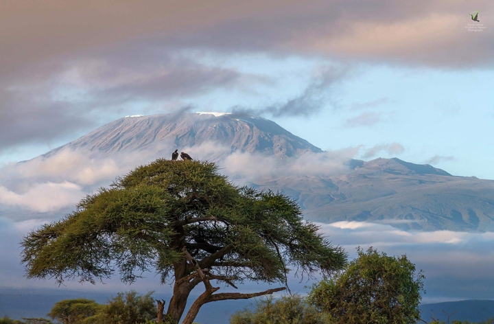 Mount Kilimanjaro