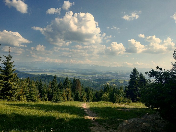 natura gór