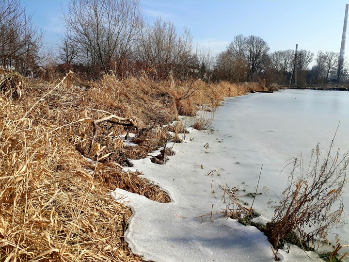 The end of winter