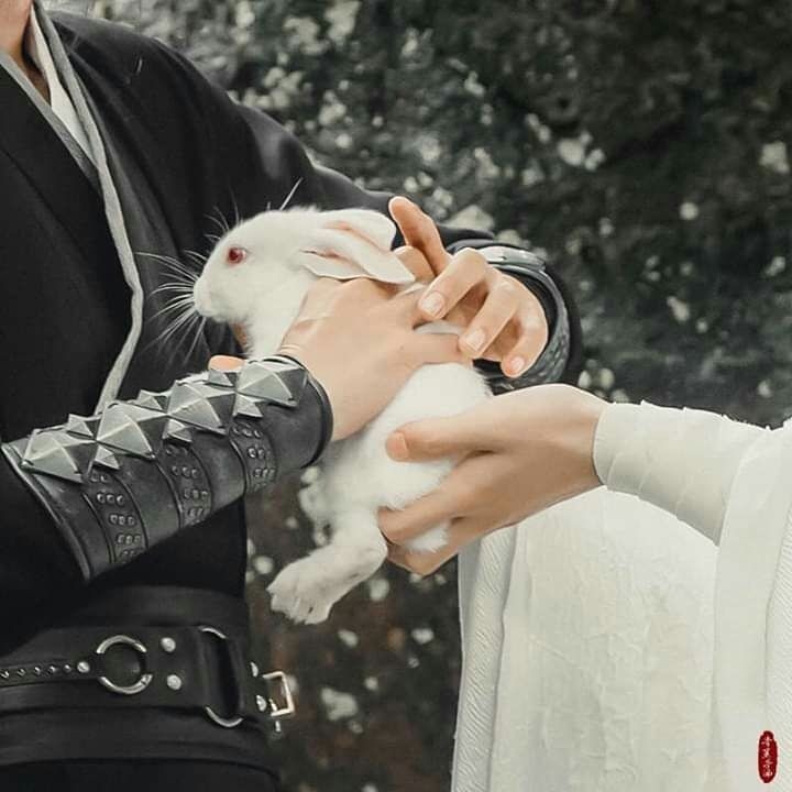 WangXian ツ