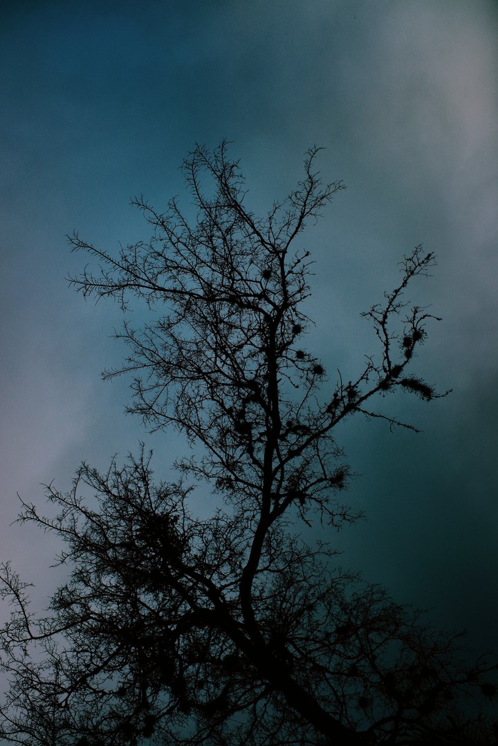 silhouette