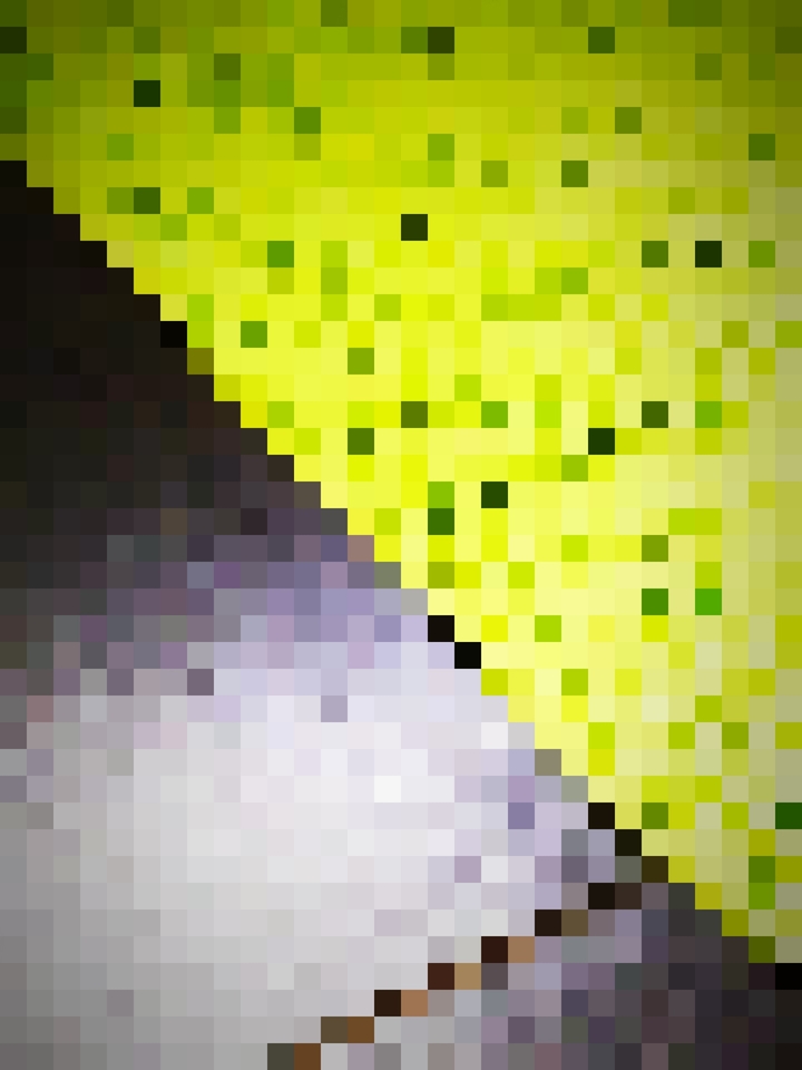 Pixelmuster