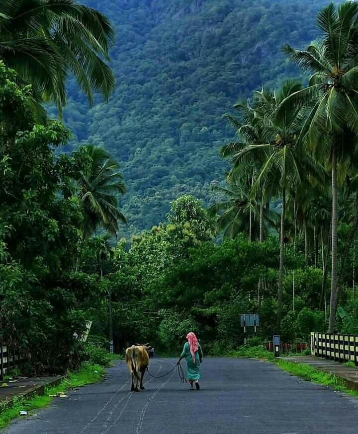 India, land of love and devotion