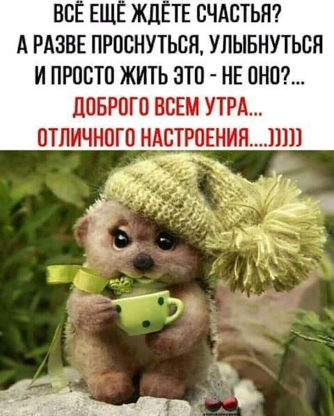 доброе утро
