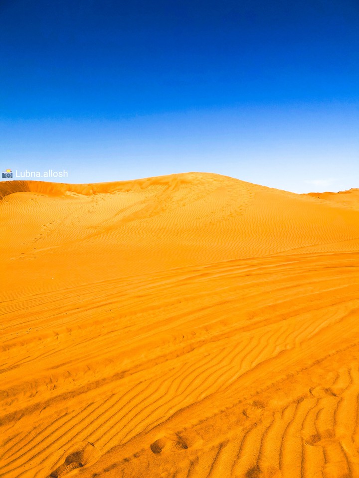 Desert