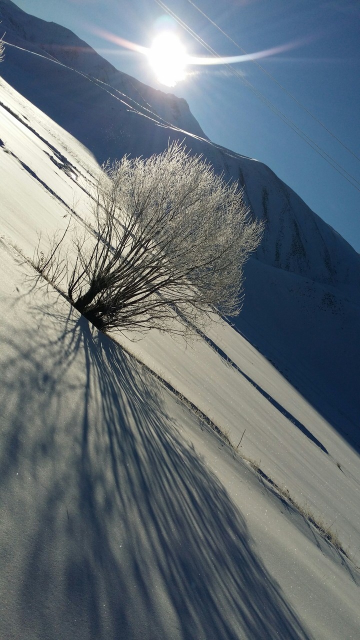 winter